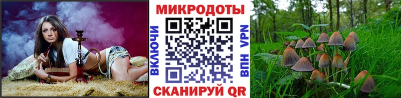 Галлюциногенные грибы мицелий  Купить закладки  Торжок 